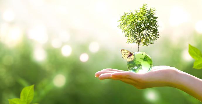 person holding drop of water with a small tree and a butterfly on it