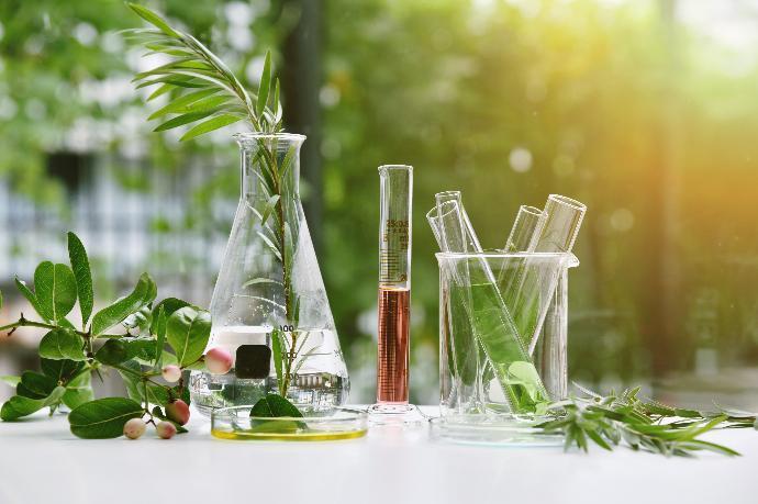plants with chemistry equipment on a table with trees in the background