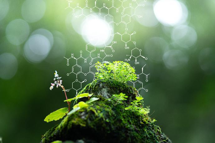nature a rock with moss, grass and other small plants growing on top and a chemistry symbol in the back