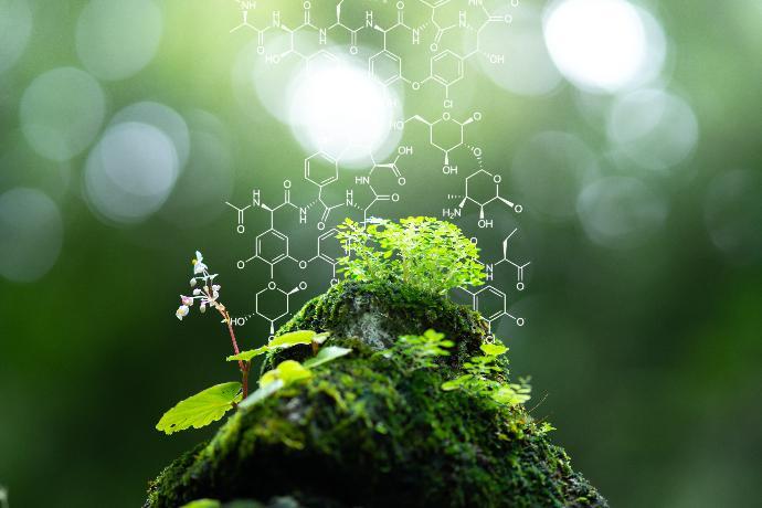 a rock with moss, grass and other small plants growing on top and a chemistry symbol in the back